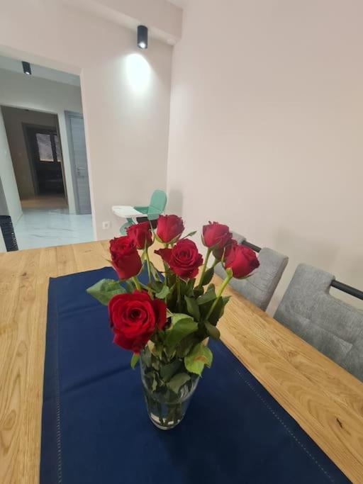 Mias Luxury Apartment غييكا المظهر الخارجي الصورة